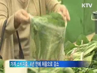 경기 부진에 금융위기 후 가계소비 첫 감소