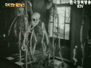 동식물 표본 전시, 창경원 생물 과학관 이미지