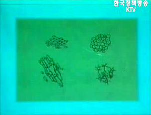 줄기세포 연구기획팀 출범