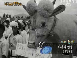 가축의 명절('63) 이미지