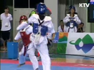 태권도, 국가브랜드 제고 '첨병'으로