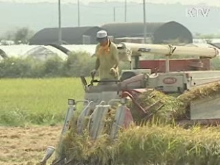 공공비축쌀 4만7천원…작년 수준 유지