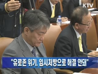 "유로존 위기, 임시처방으로 해결 안돼"