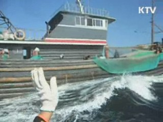 한·중, 불법조업 공동감시 합의