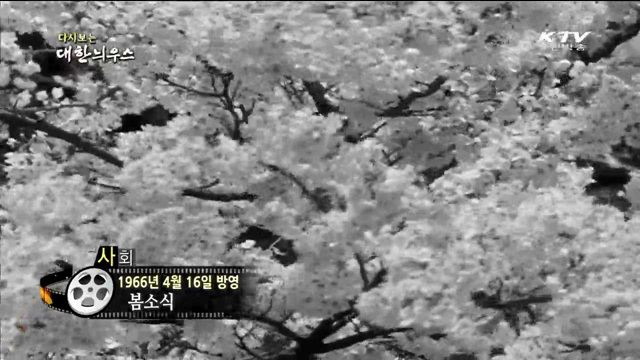 다시보는 대한늬우스 (66.04.16) 이미지