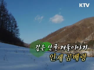 깊은 산골 겨울이야기 - 인제 곰배령