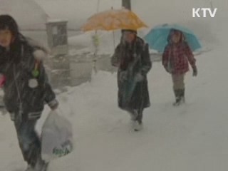 이집트, 사상 최악 축구장 난동  70여명 사망