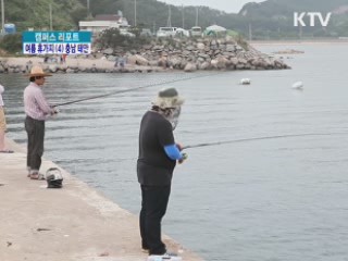 '수목원' '기암절벽' '맛' 찾아 태안으로 오세요 [캠퍼스 리포트]