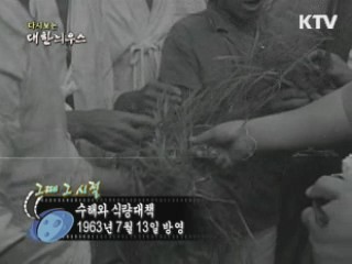 다시보는 대한늬우스 (63.07.13) 이미지