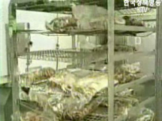 미국산 수입 쇠고기 검역 불합격 조치