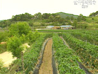 살기좋은 지역만들기