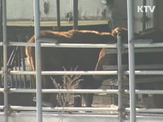 침출수 신속 대응···상수도 보급 확대