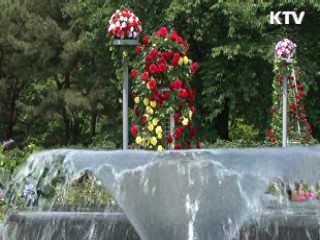 계절의 여왕, 장미페스티벌 [국민리포트]