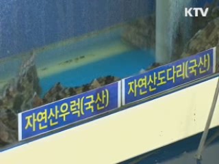 28일부터 양고기 등 원산지 표시 확대