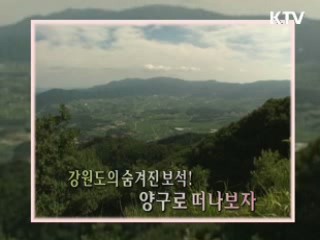 생태환경도시, 교육도시 양구