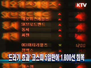 정책 오늘 (203회)