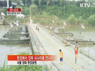 한강서 피서 '행복몽땅' [국민리포트]