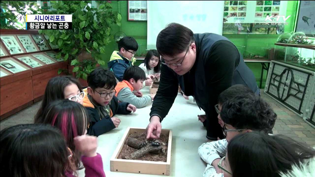 황금알 낳는 곤충산업