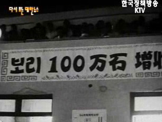 식량 증산(`64) 이미지