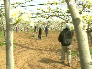 농업도 CEO 시대