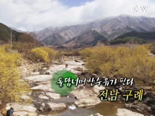 돌담너머 산수유가 핀다 - 전남 구례