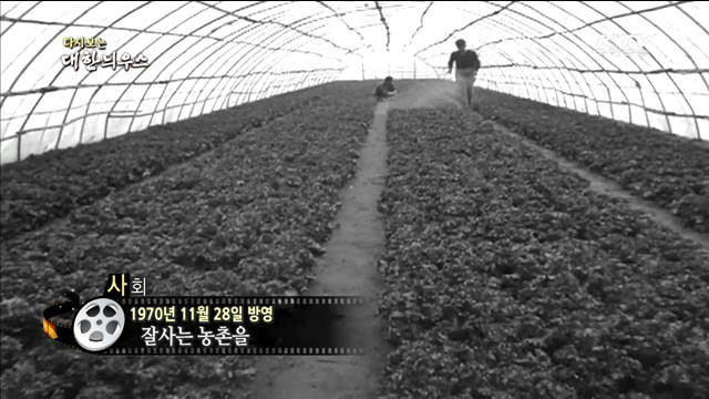 다시보는 대한늬우스 (71.11.28) 이미지