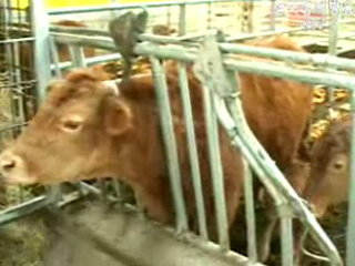 경쟁력 강화 계기