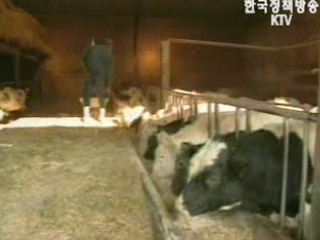 미국, `쇠고기 개방 안하면 FTA 서명 못해`