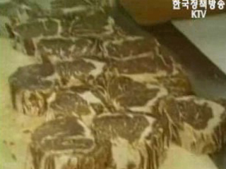 농업 고위급회담 쇠고기 등 논의