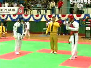 세계태권도 대회 개막