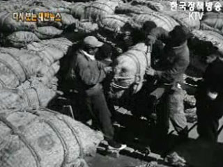 쌀의 품질검사('62) 이미지