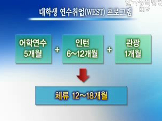 어학연수와 인턴을 '한번에'
