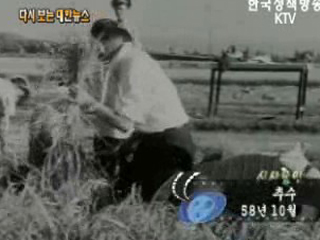 추수('58) 이미지