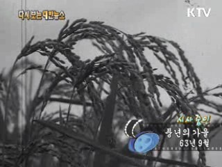 풍년의 가을(63') 이미지