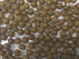 금지 약물 '시부트라민' 다이어트 식품 적발