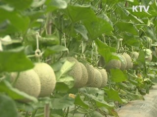 수요자별 '맞춤형 농식품 안전정보' 제공