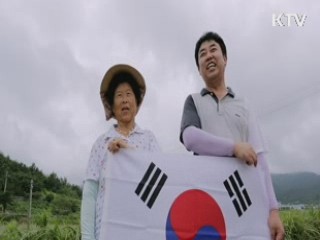 365일 태극기 물결···"나라사랑 전해요"