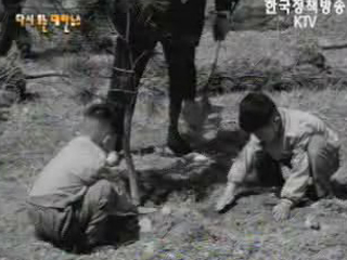 제16회 식목일 행사(`61) 이미지