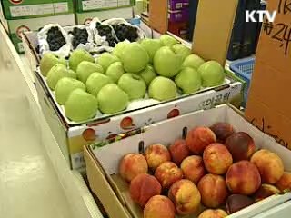 성수품·석유제품 가격안정 총력