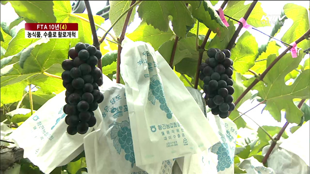 농식품, FTA 파고 '수출'로 활로 개척