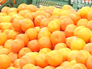 `한미FTA 후 쇠고기.오렌지 피해 제한적`