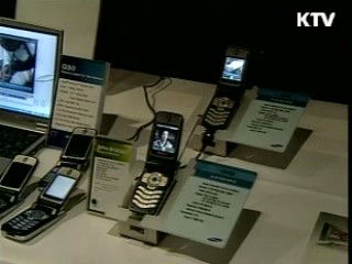 소프트웨어 세계시장 선점 지원