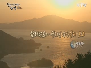 한려수도에 펼쳐진 수산물의 보고 - 사천시