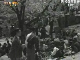 창경원의 ？꽃놀이(`59) 이미지