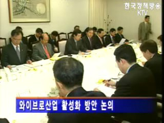 와이브로, 내년 전국 주요도시 확대