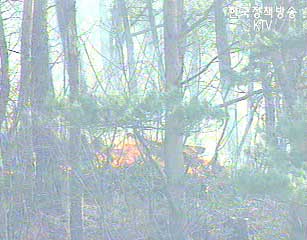 산불예방 전 행정력 동원