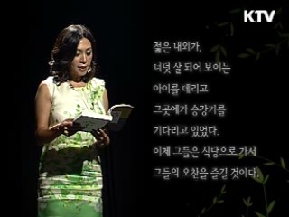 모던보이 경성을 거닐다 - 박태원 '소설가 구보씨의 일일'