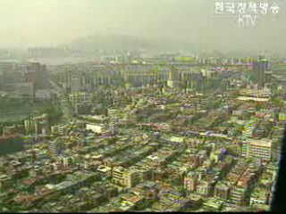 허위신고, `불이익`