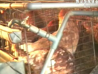 전북 김제, 방제작업 총력