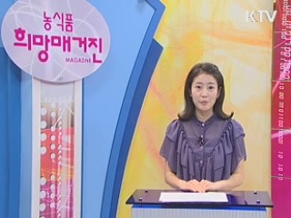 바다숲 조성 1년, 녹색 꿈이 자란다